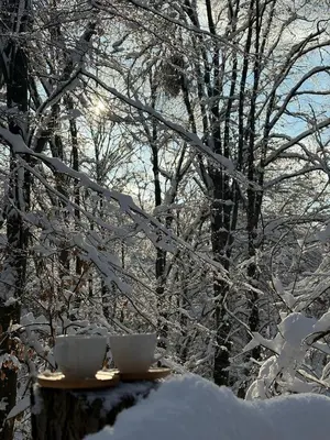 two cups sitting on a table in the snow at Šumarak Weekend House in Arandjelovac