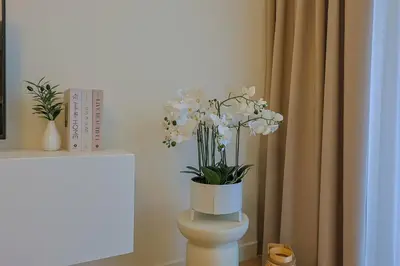 a vase of white flowers sitting on top of a toilet at S310 with free parking in Belgrade