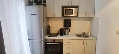 a small kitchen with a refrigerator and a sink at Central Apartment Toplica in Belgrade