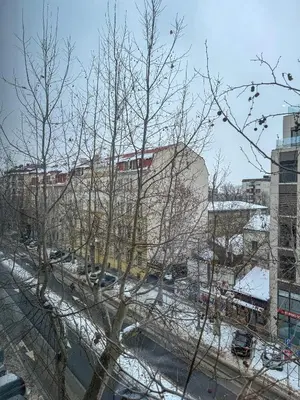 a tree with snow on it in a city at Vista Dorćol - Old Town - Heart of Belgrade in Belgrade