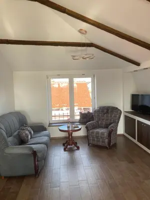 a living room with a couch and chairs and a tv at Vranjes apartman in Beograd