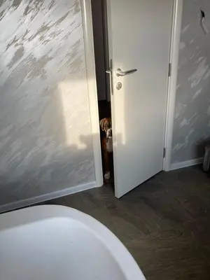 a bathroom with a white toilet next to a door at Vranjes apartman in Beograd