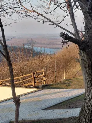 a view of a road with a fence and water at Ranč Petar Alavanja Banstol in Sremski Karlovci