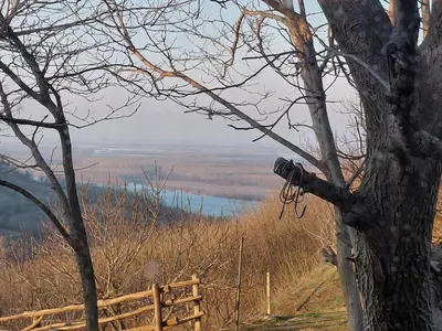 a view of a body of water from a tree at Ranč Petar Alavanja Banstol in Sremski Karlovci
