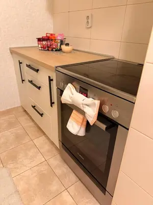 a kitchen with an oven with towels hanging from it at Light & Cozy Flat Banovo Brdo in Belgrade