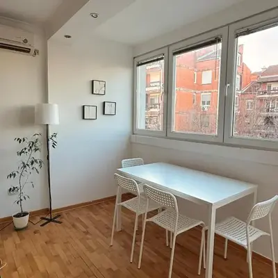 Light & Cozy Flat Banovo Brdo