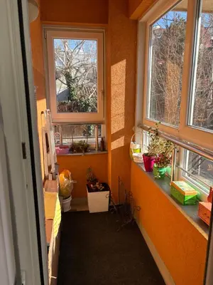 a hallway with two windows and potted plants at Cozy place in Belgrade