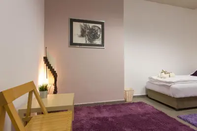 a bedroom with a bed and a purple rug at Apartment Vukanja in Belgrade