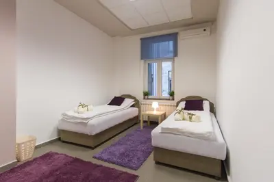 two beds in a room with a purple rug at Apartment Vukanja in Belgrade