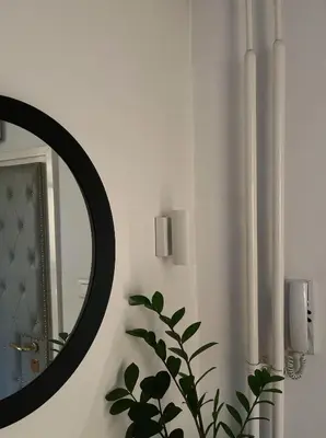 a bathroom with a mirror and a potted plant at Cozy Apart Central Oasis in Belgrade