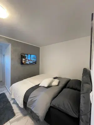 a bedroom with a bed and a tv on the wall at Stan na dan Pecinci in Pećinci