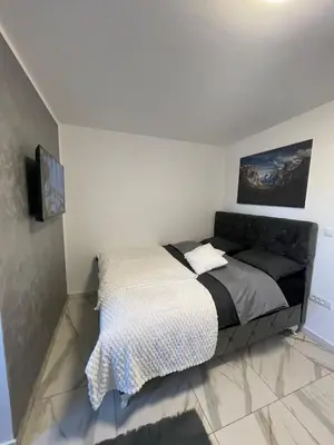 a bedroom with a bed and a tv on a wall at Stan na dan Pecinci in Pećinci
