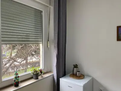 a window with a christmas tree on a window sill at Apartman Titi in Smederevo