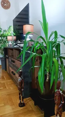 two men standing next to a potted plant in a room at City Stay Apartments in Belgrade