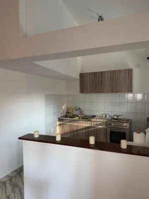 a kitchen with a stove and a counter top at Apartman Tara in Belgrade