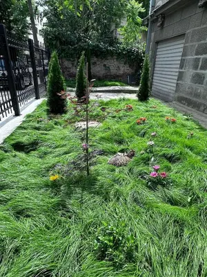a garden with grass and flowers in a yard at Suite Top 14 in Belgrade