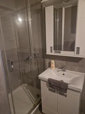 a bathroom with a sink and a shower at Centro apartman 3 in Pančevo