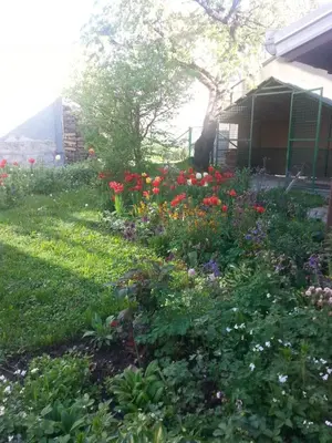 a garden of flowers in the yard of a house at Sweet Dreams Apartment in Arandjelovac