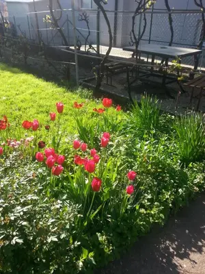 a garden with red flowers and a park bench at Sweet Dreams Apartment in Arandjelovac