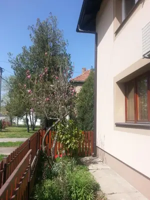 a fence with a tree next to a house at Sweet Dreams Apartment in Arandjelovac