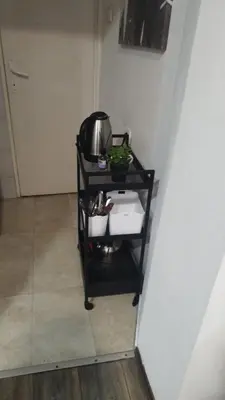 a black shelf with a pot and a plant on it at Low cost studio Zeleni Venac in Belgrade