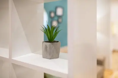 a potted plant sitting on a white shelf at Cozy City Center Nest - Quiet Courtyard Patio in Belgrade