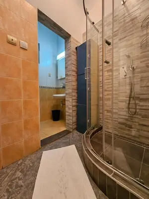 a bathroom with a shower and a sink at Prime Location Studio in Belgrade