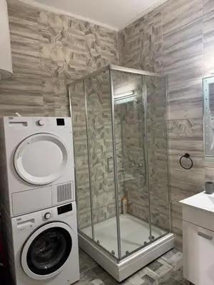a shower stall with a washing machine in a bathroom at Apartman Dixy 3 in Belgrade