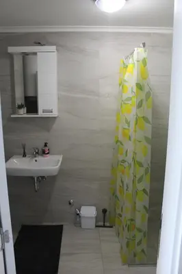 a bathroom with a sink and a toilet and a shower curtain at Apartman Nina Banovci in Novi Banovci