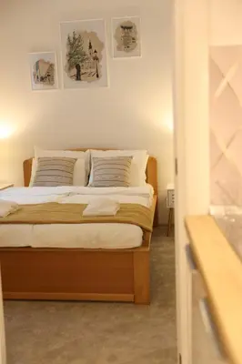 a bedroom with a bed with two pictures on the wall at VD City Centre Apartment Belgrade in Belgrade
