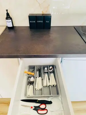 a drawer filled with lots of knives and scissors at Fontana Lux Apartment in Belgrade