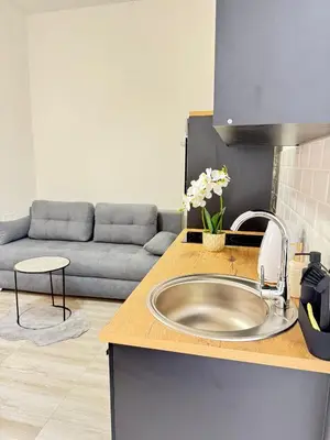 a kitchen with a sink and a couch at Natalie's Prestige in Belgrade