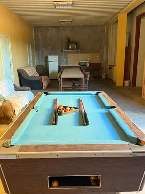 a pool table in a living room with tongs on it at Pecinci Hostel in Pećinci