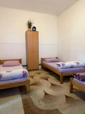 a room with two beds and a carpet at Pecinci Hostel in Pećinci