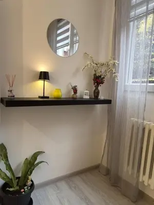a room with a shelf and a mirror and a plant at Vracar Cozy Nook in Belgrade