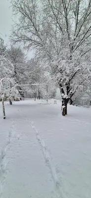 a snow covered park with a tree and footprints in the snow at Danube Retreat in Belgrade