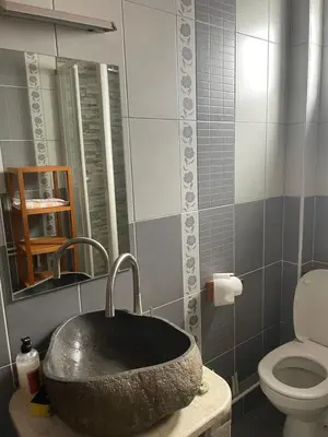 a bathroom with a stone sink and a toilet at Prvi maj in Ub