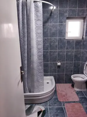 a bathroom with a shower curtain and a toilet at Apartman Lola in Lazarevac