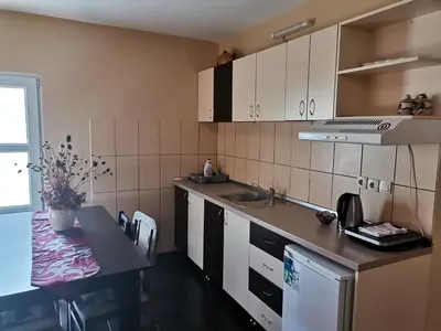 a kitchen with a sink and a counter top at Airport Apartments in Belgrade