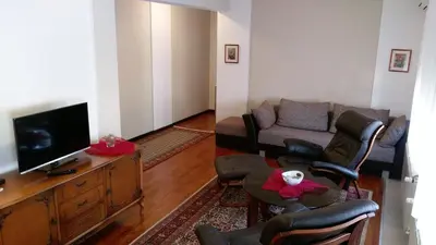 a living room with a couch and a tv at Apartment Krsmanovic in Arandjelovac