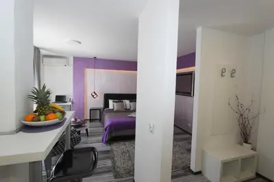 a room with a bedroom with a bed and a table at New Belgrade Apartment ARENA in Belgrade