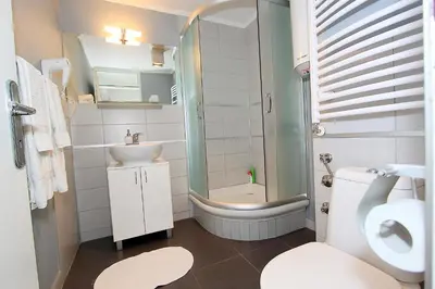 a bathroom with a shower and a toilet and a sink at New Belgrade Apartment ARENA in Belgrade