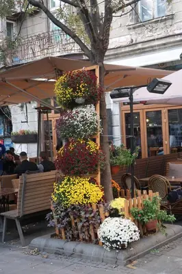 a display of flowers in front of a restaurant at Belle Apartments - Obilicev Venac in Belgrade