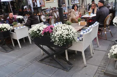 a table with a pot of flowers on it at Belle Apartments - Obilicev Venac in Belgrade