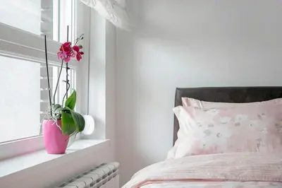 a bedroom with a pink bed with a plant in a window at Apartman Cezar in Belgrade