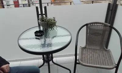 a glass table with a plant on it next to a chair at Apartman Cezar in Belgrade