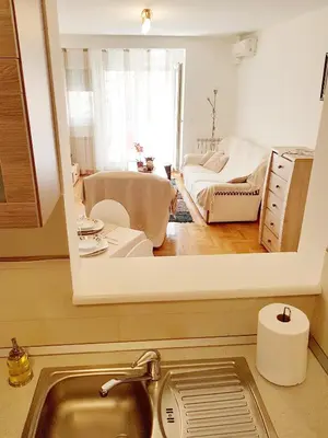 a kitchen with a sink and a living room at Shining in Belgrade