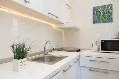 a kitchen with a sink and a microwave at City Break Apartments Klishe Zen in Belgrade