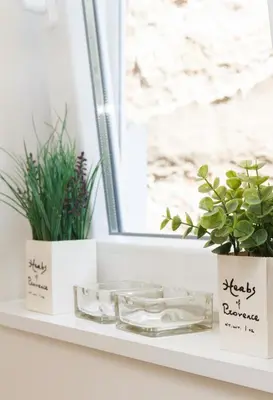 a shelf with two potted plants and a window at City Break Apartments Klishe Zen in Belgrade