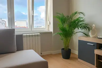 a living room with a chair and a potted plant at City Break Apartments - City Zen in Belgrade